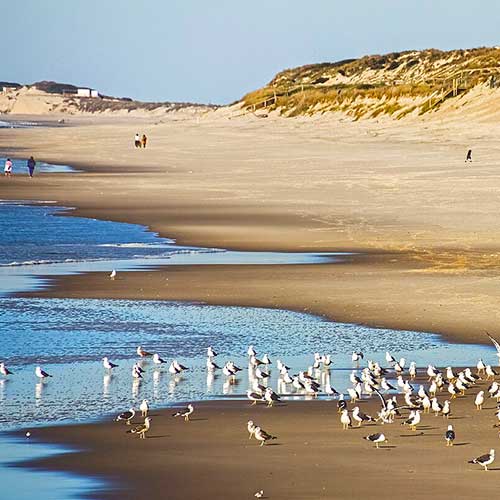 Best Beaches in Portugal