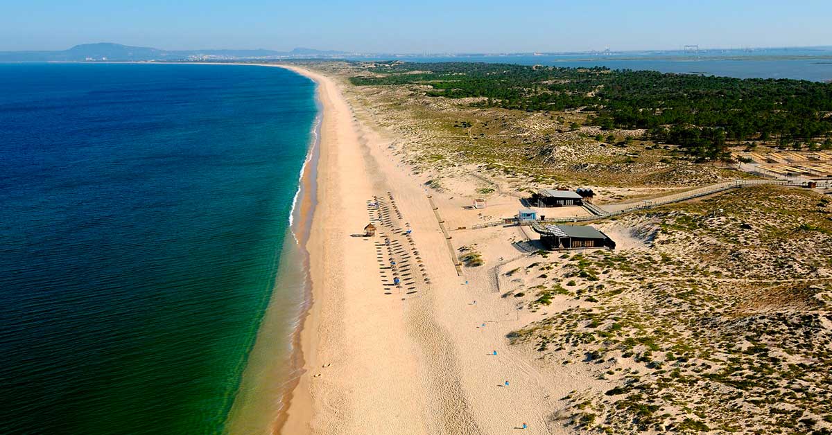 Beach wedding in Comporta Portugal – fine sand beach and pine forests at dusk
