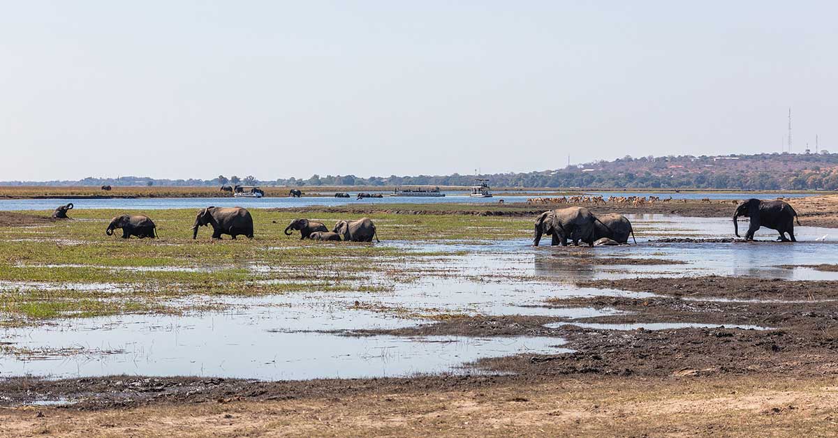 best safaris in africa