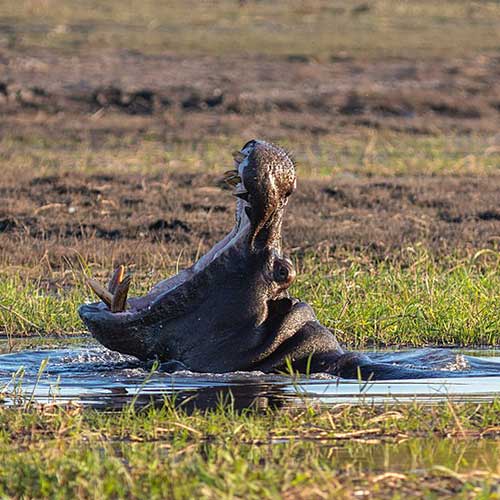 best safaris in africa