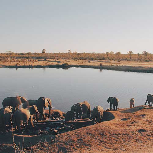 best safaris in africa