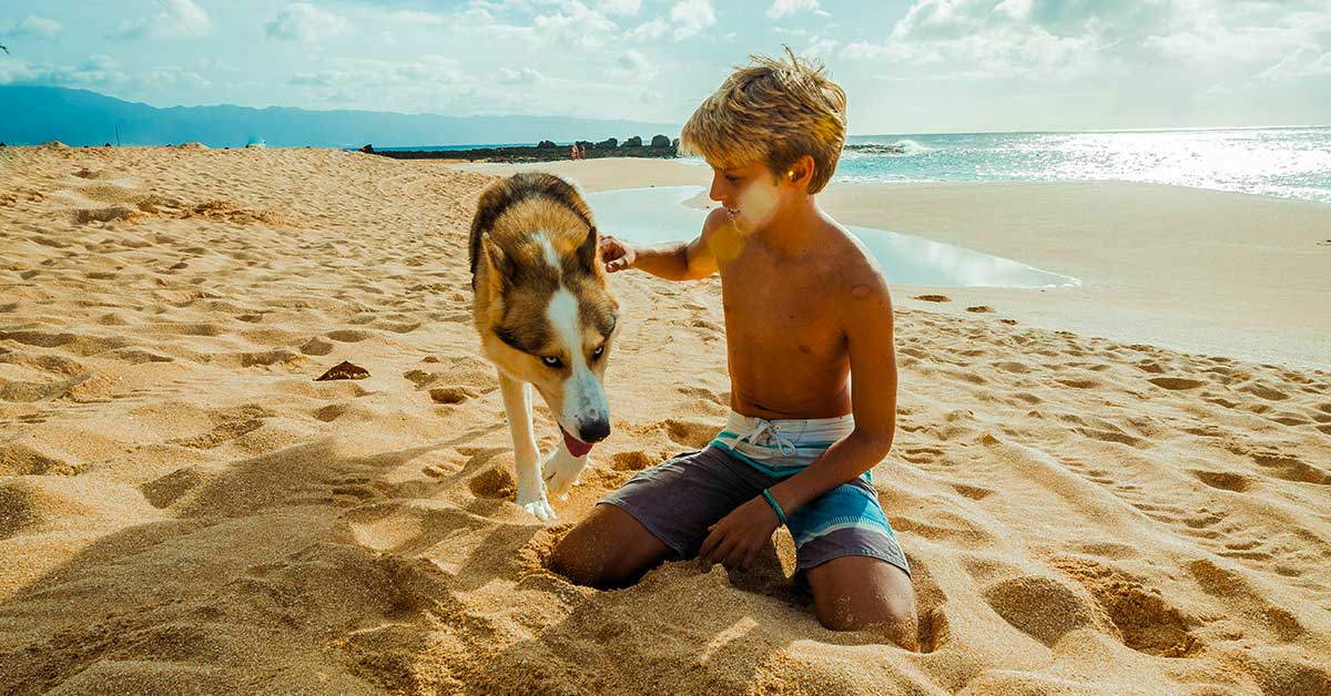 Dog-friendly beaches in Portugal