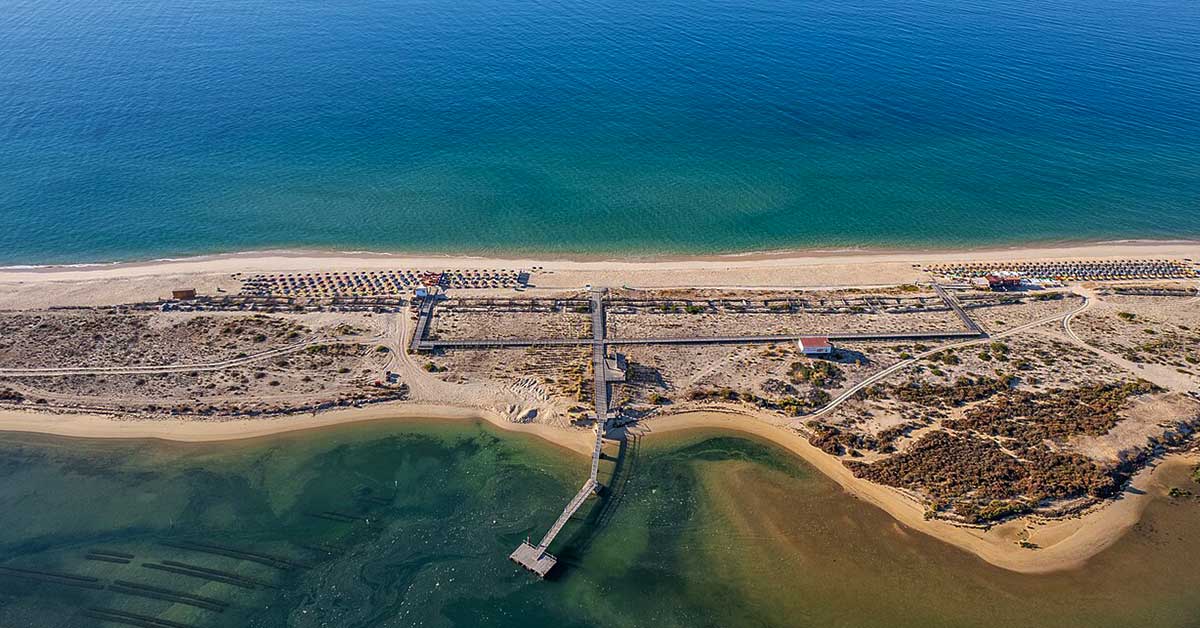 Ria Formosa islands, the best option for dogs in the Algarve