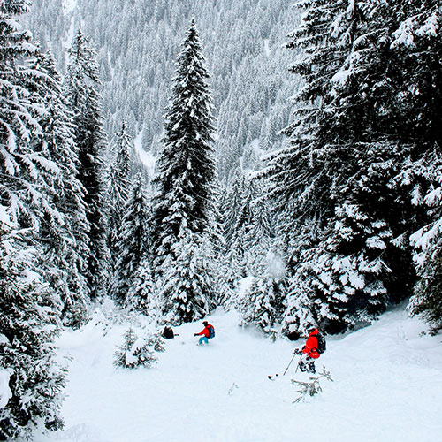 snow vacation destinations
