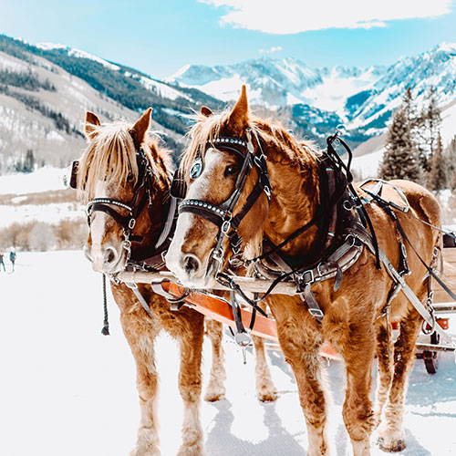 snow vacation destinations