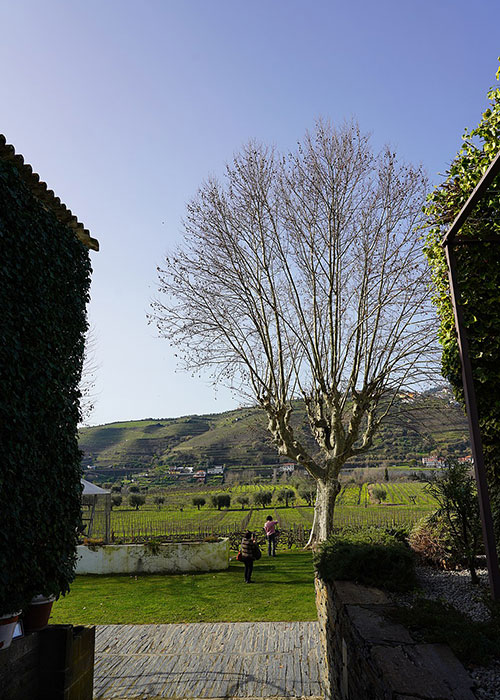 Wedding venues in Portugal
