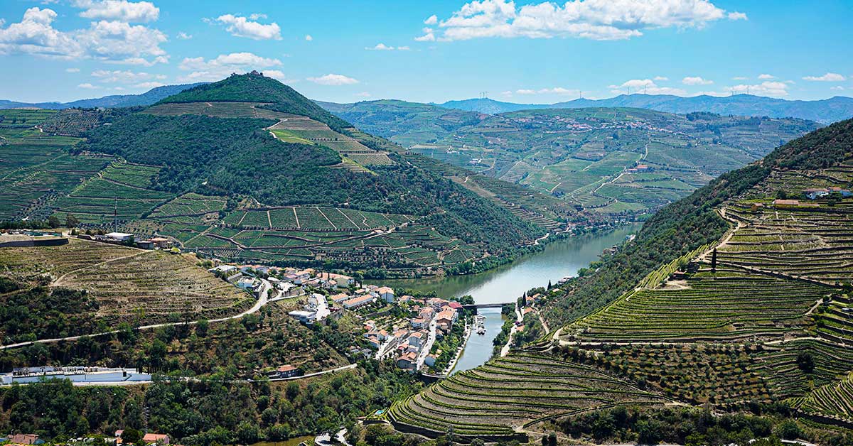 Douro Valley winter vineyards Portugal