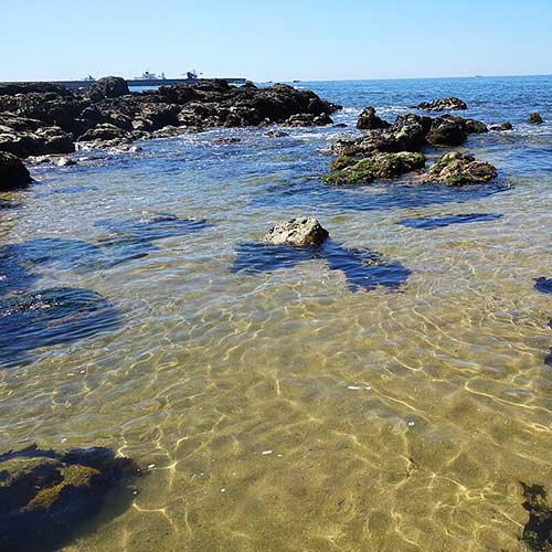 Melhores Praias em Portugal