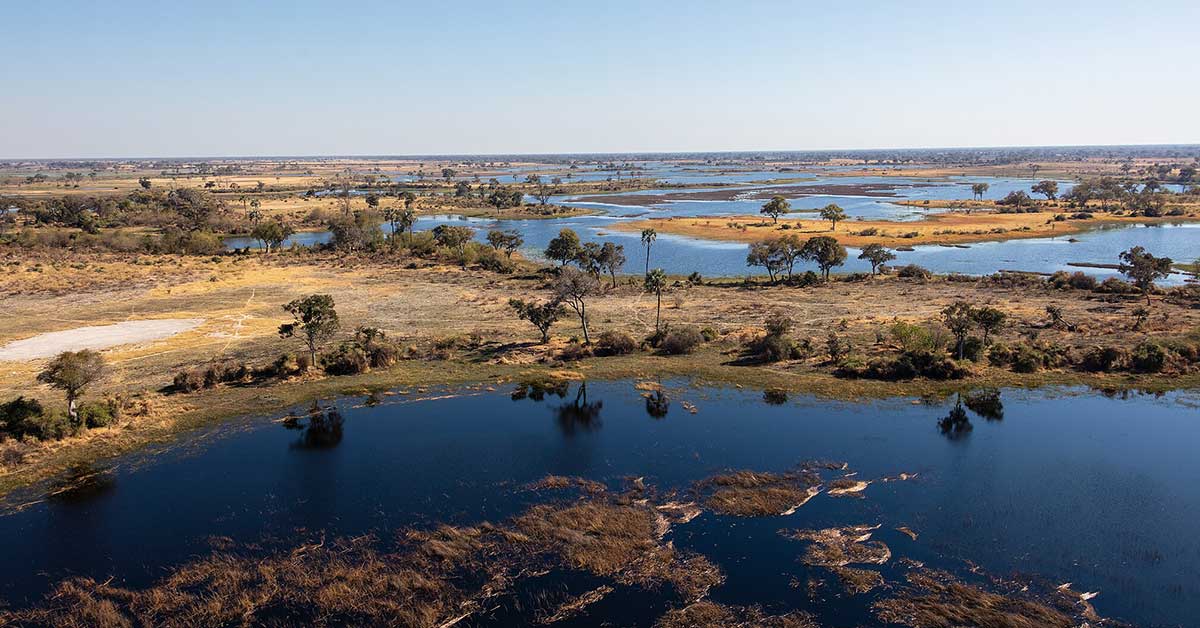 melhores safaris em África