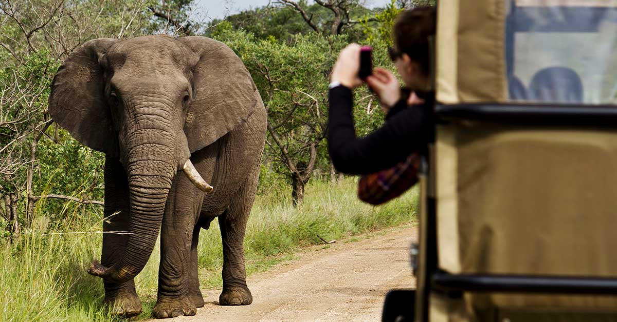 melhores safaris em África