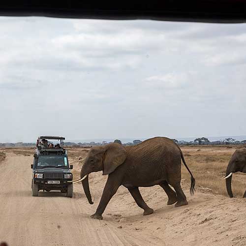 melhores safaris em África
