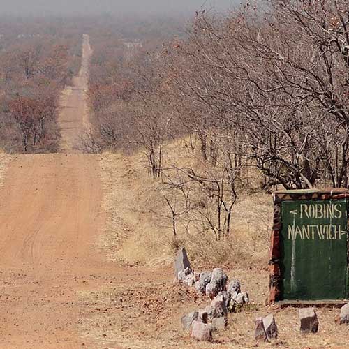 melhores safaris em África