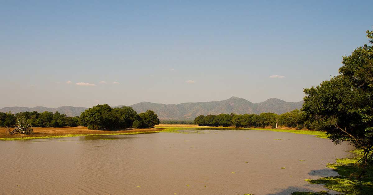 melhores safaris em África