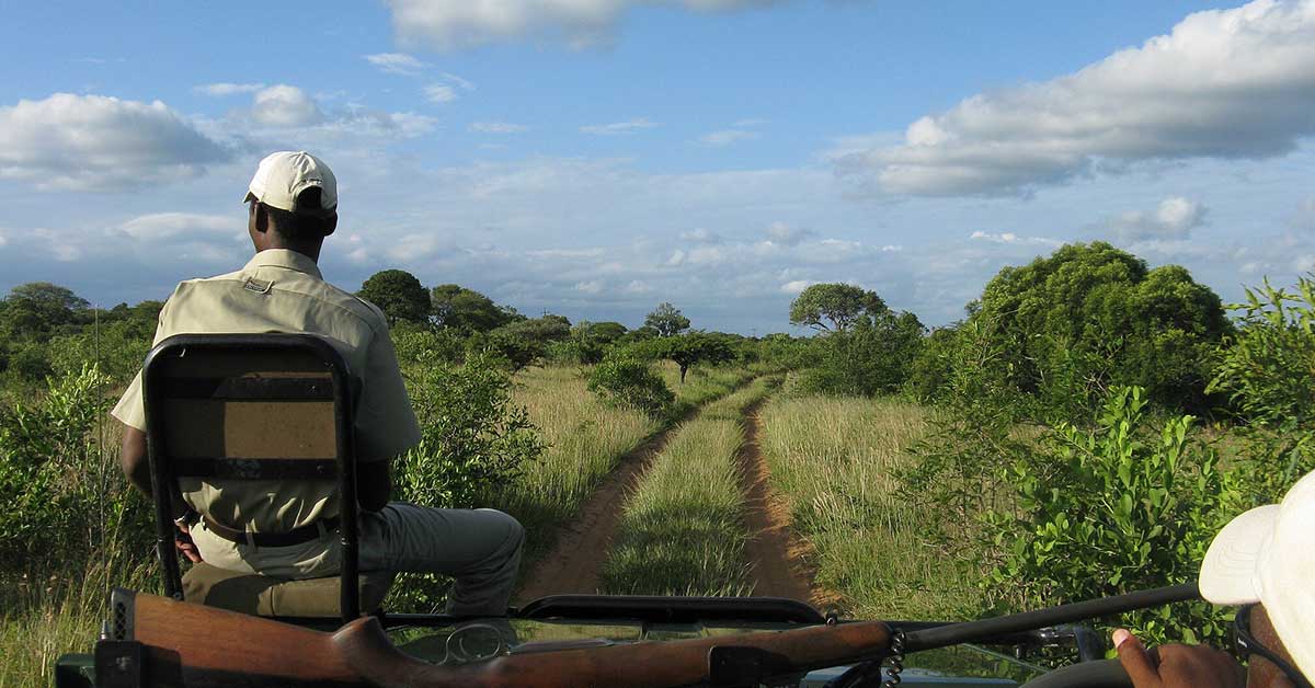 melhores safaris em África