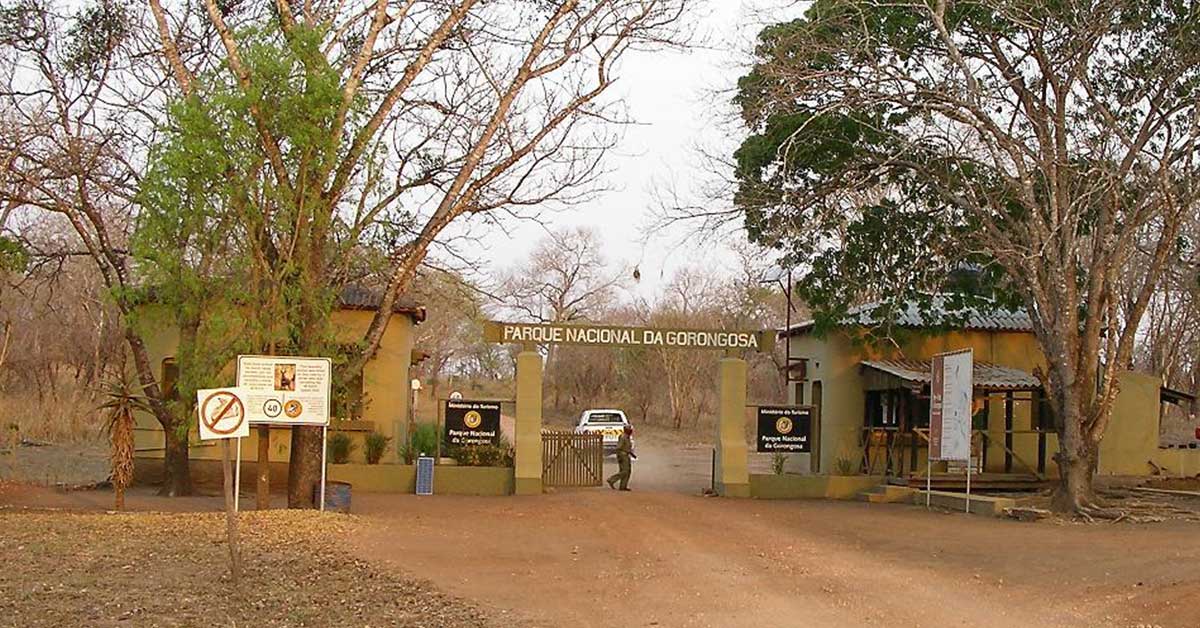 melhores safaris em África