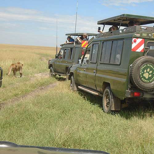 melhores safaris em África