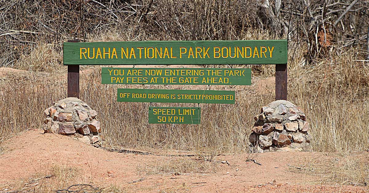 melhores safaris em África