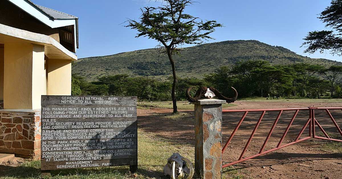 melhores safaris em África