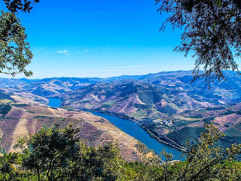 Miradouro de São Leonardo da Galafura Douro Portugal inverno