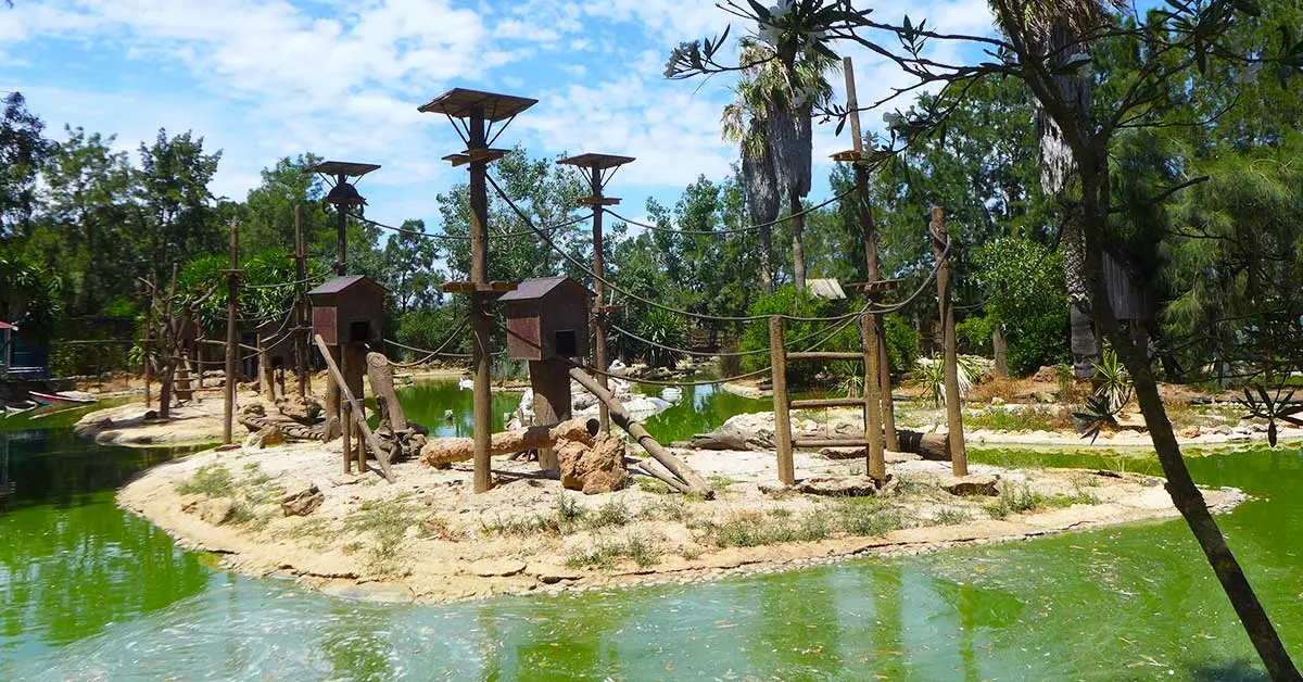 Zoo de Lagos Boulders Beach Algarve