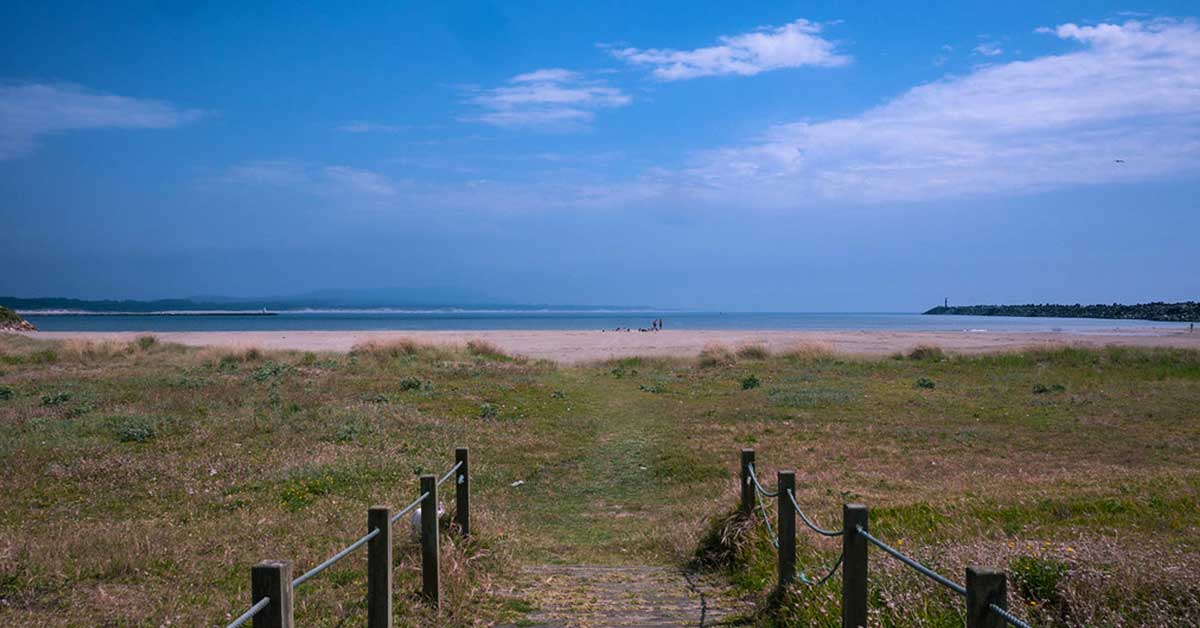 Praia do Coral, Viana do Castelo, praia para cães no Norte de Portugal
