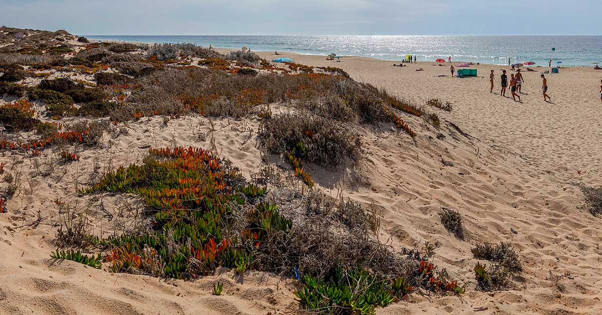 Praia de Comporta, Alentejo, praia tolerante para cães