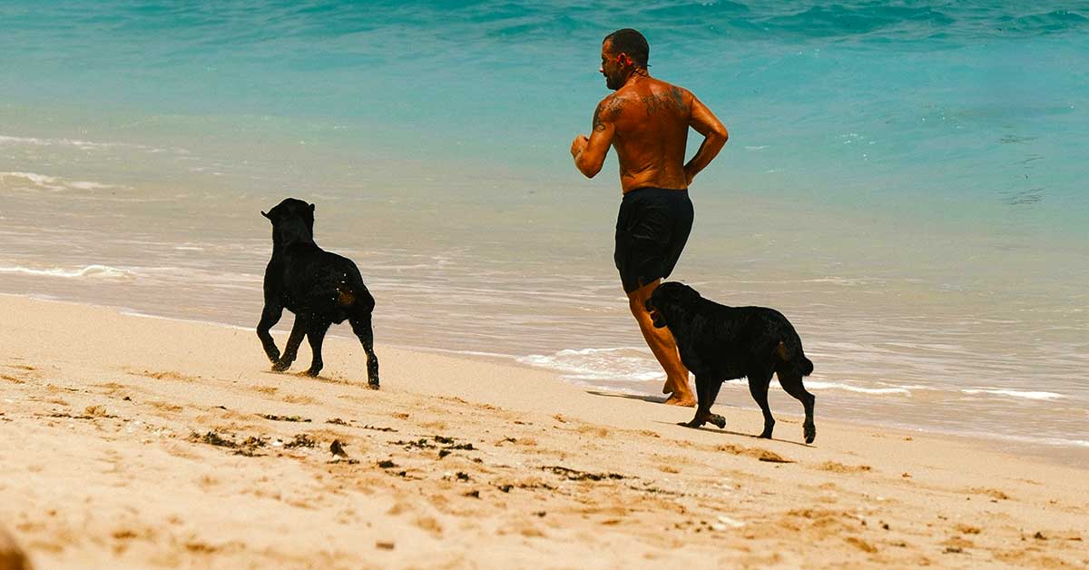 Praias para Cães em Portugal